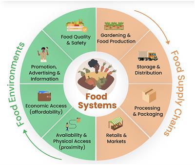 Stakeholder mapping to explore social and economic capital of Rotating Savings and Credit Associations (ROSCAs) to increase demand for and access to healthy food